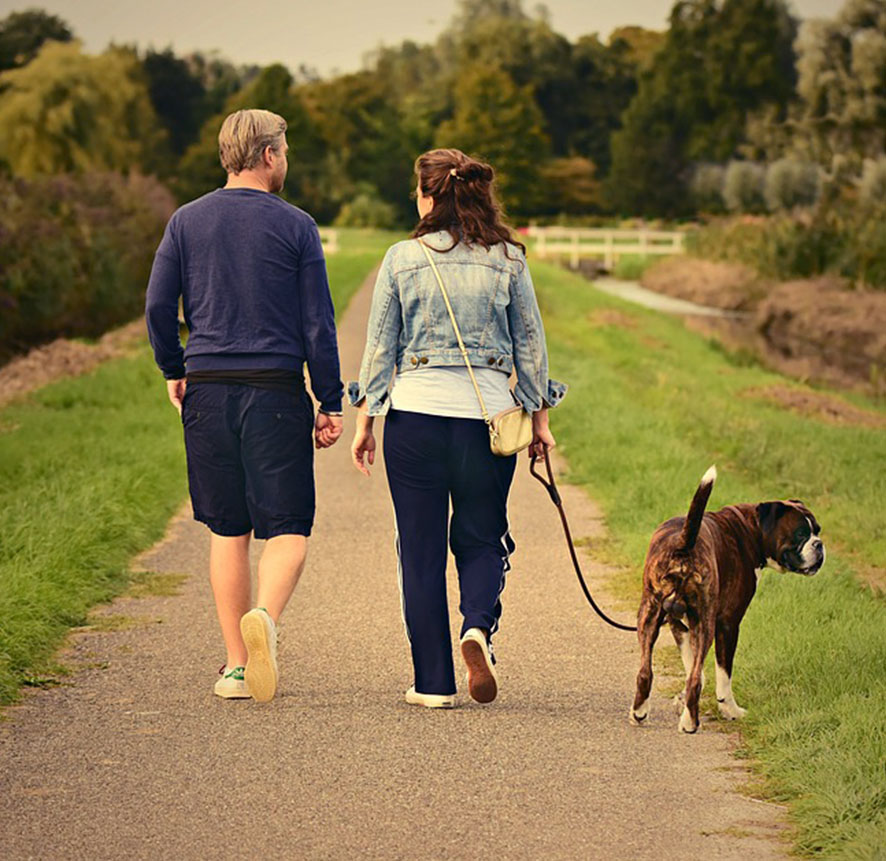 Couple Walking Their Dog Couple Walking Their Dog
